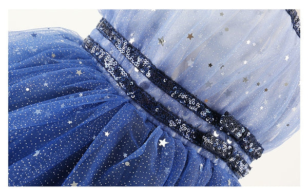 The Oksana Fairy Princess Party Dress