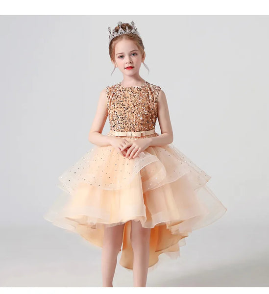 The Shaylene High Low Sparkle Dress