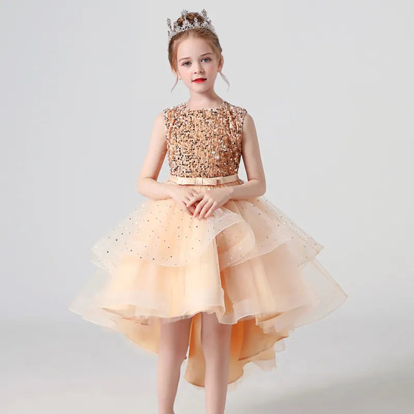 The Shaylene High Low Sparkle Dress
