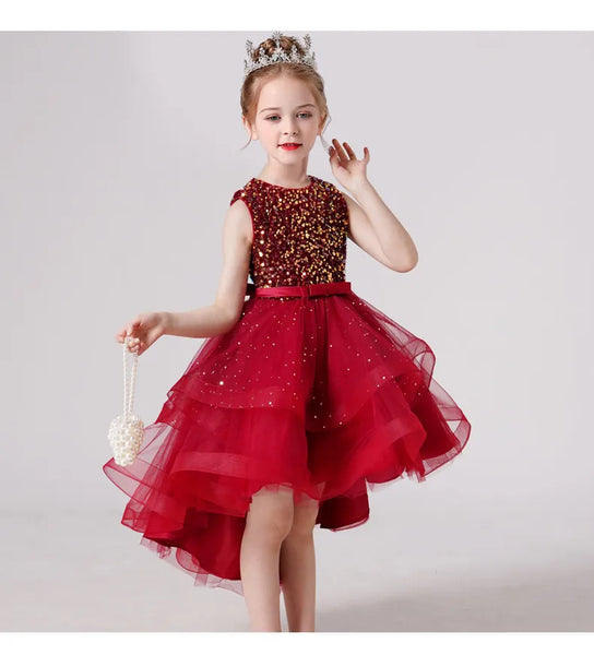The Shaylene High Low Sparkle Dress