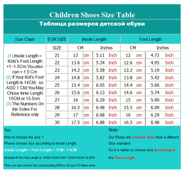 The Butterfly Cinderella Shoes