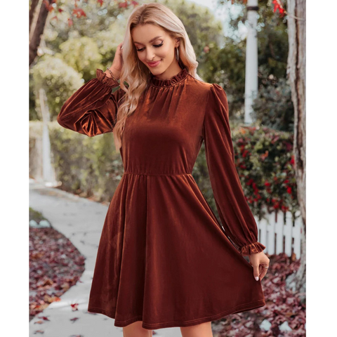 Women's Velvet A-Line Twirl Dress