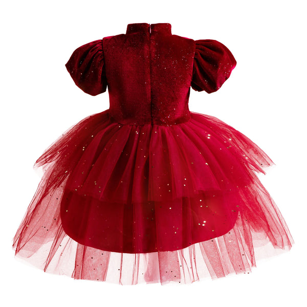 The Starry Velvet Fancy Special Occasion Dress for Girls