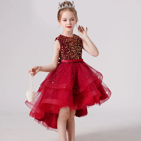 The Shaylene High Low Sparkle Dress