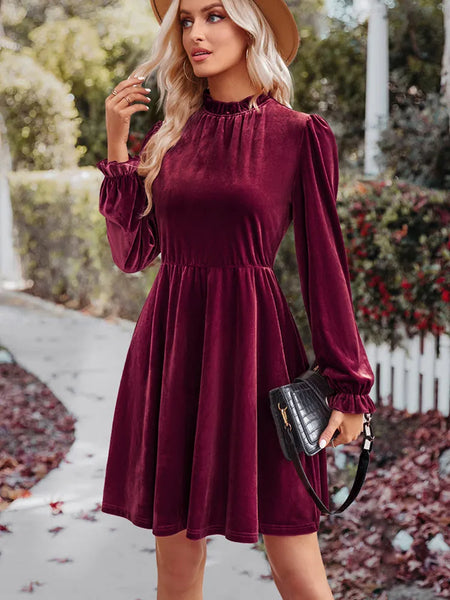 Women's Velvet A-Line Twirl Dress