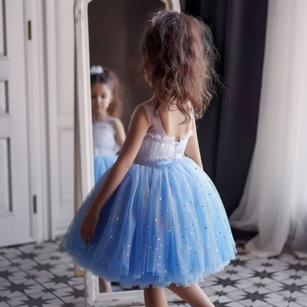 The Oksana Fairy Princess Party Dress