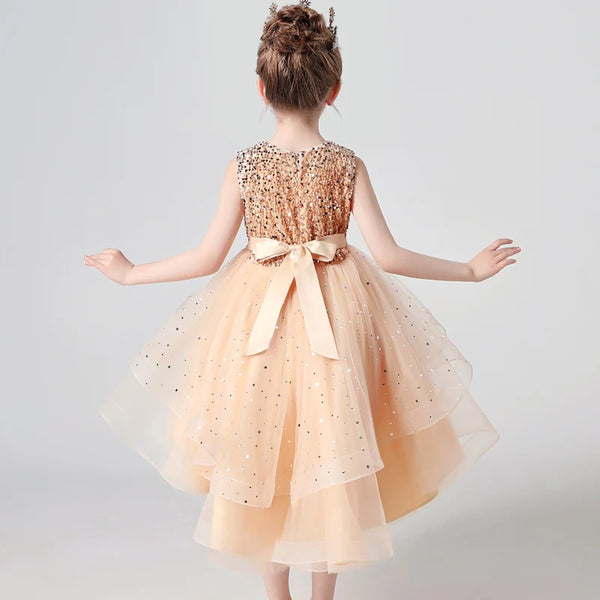 The Shaylene High Low Sparkle Dress