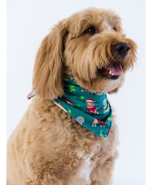 SoftSnooze™ Bamboo Viscose Paw-liday Pals Christmas Dogs Pajamas for Men, Women, Girls & Babies