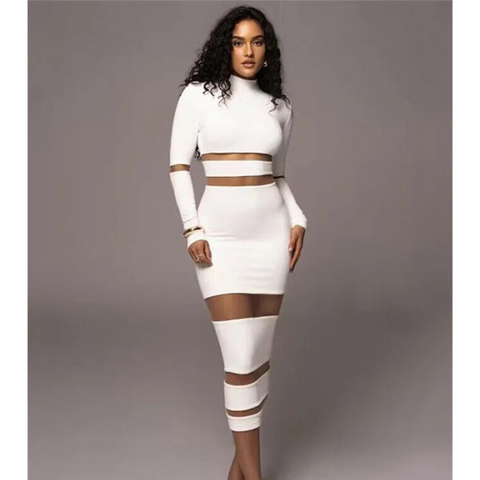 Vivica Slim Fit Long Sleeve Knit Mesh Panel Dress